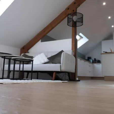 Superbe Neuf 2 Hyper Centre Appartement Laval (Mayenne)